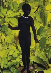 Venus #1 by Ruud van Empel, 2006, Dye destruction print, Diasec mounted, sold Nov 2013