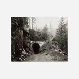 Mark Ruwedel, Westward the Course of Empire