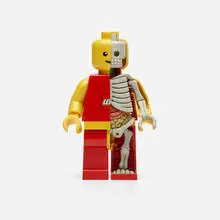 Jason Freeny, LEGO Man Dissected