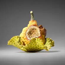 Mizuno Keisuke, Forbidden Fruit #8, 1997, glazed porcelain