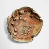 Peter Voulkos, Untitled (Plate), 1997, soda-fired stoneware