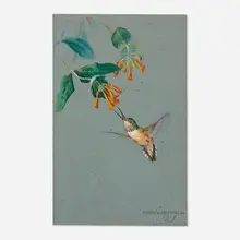 R. Bruce Horsfall, Hummingbird and Trumpet Flowers, 1919, watercolor and gouache on paper