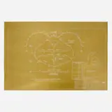 Danh Vō, The New Secret of Keeping a Pretty Skin