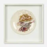 Joseph Raffael, Plate and Baggie with Flowers, 1969, oil on ceramic plate, plastic bag and flowers in artist's frame