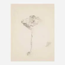 Still Life with Apple by Bruce Conner, 1962, pencil on paper, sold May 2024