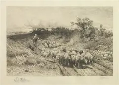 Peter Moran, Herding Sheep, Etching