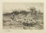 Peter Moran, Herding Sheep