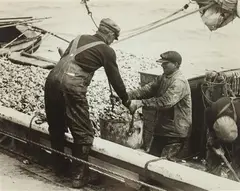 A. Aubrey Bodine, Removing Oysters in Bushel Buckets from the Dredging Boats, Silver gelatin print