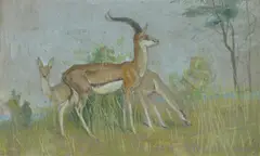 Louis Feuchter, GAZELLES, initalied L.F. and dated '23 lower right, Watercolor and gouache