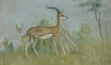 Louis Feuchter, GAZELLES, initalied L.F. and dated '23 lower right, Watercolor and gouache
