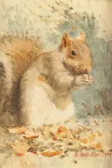 Deborah Deichler, Autumn Squirrel, Oil on paper