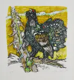 Alois Carigiet, Auerhahn 2, 1976, Farblithografie auf BFK RIVES (Wasserzeichen)