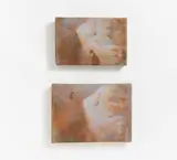 Jānis Avotins, "#8" (Diptychon), 2004, Jeweils Acryl auf Leinwand