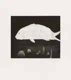 David Hockney, The Boy Hidden in a Fish. Aus: Illustrations for Six Fairy Tales from the Brothers Grimm, 1969, Aquatinta auf DH PP (Wasserzeichen)