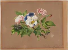 Pauline Schwab, Auktion 479, Los 210, Aquarell und Gouache auf Papier
