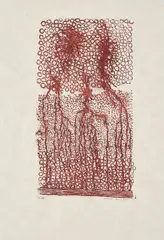 Ohne Titel by Max Ernst, 1973, Farblithografie auf Japan, sold Sep 2021