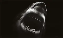 Bruce by Robert Longo, 2014, Pigmentdruck auf Papier, sold Jun 2021