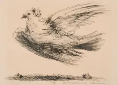 Pablo Picasso, La Colombe en Vol, 1950, Lithografie auf Velin