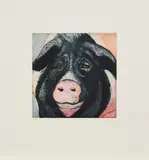 Karin Kneffel, Aus: Tierköpfe, 2006, Farbaquatintaradierung auf Velin