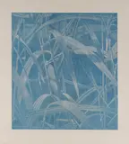 Franz Gertsch, Gräser I (Himmelblau), 1999/2000, Holzschnitt auf Kumohadamashi-Japan von Ivano Heizaburo