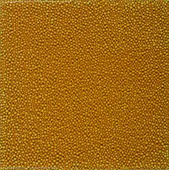 Carlos Rolón, "Lemon jelly", 2005, Acryl, Resin auf Holz