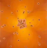 Carlos Rolón, "Through the Amber Twilight, Something Caught my Eye", 2005, Acryl und Resin auf Holz