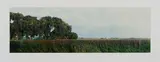 Jan Koster, De Zwartendijk en de Polder Dronthen, 20. August 1994, 1994, Fotocollage. 39 C-Prints auf Agfa-Papier, aneinander montiert