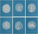 Terry Winters, Intervals, 2003, Jeweils: Farbige Aquatinta mit Präegdruck auf handgeschöpftem Bütten