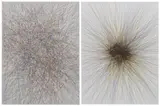 Kōhei Nawa, Line – Random – CMY #1, 2013, silkscreen on paper
