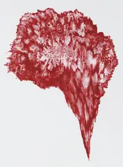 Kōhei Nawa, Drawing 1, 2001, silkscreen on BFK Rives paper