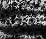 Adam Pendleton, Untitled (Days)
