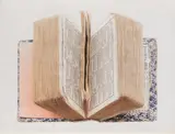 Liu Dan, Dictionary, 2011, ink and colour on paper