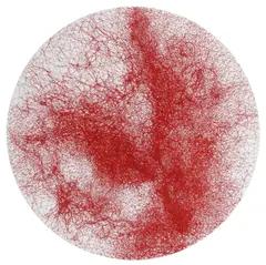 Skin by Chiharu Shiota, 2020, red thread on canvas, sold Mar 2026