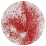 Chiharu Shiota, Skin, 2020, red thread on canvas