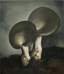 Yan Bing, Mushroom No. 30, 2020, oil on canvas