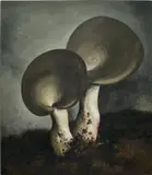 Yan Bing, Mushroom No. 30, 2020, oil on canvas