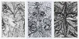 Lucy Bull, Three works: (i) Plume 1; (ii) Plume 2; (iii) Plume 3, 2018, charcoal on paper