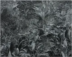 Tobe Kan, Min, 2020, oil pastel on canvas