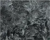 Tobe Kan, Min, 2020, oil pastel on canvas
