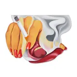 Tom Wesselmann, Smoker #17, 1975, oil on shaped canvas
