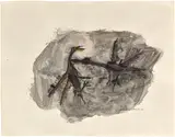 Zao Wou-ki, Les oiseaux