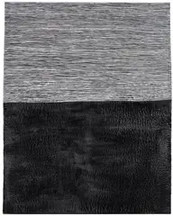 Wang Guangle, Coffin Paint 2006.5.18 – 2006.7.31, 2006, acrylic on canvas