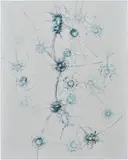 Zhao Zhao, Constellations