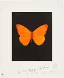 Damien Hirst, Hope, from Butterfly Etchings, 2009, etching and aquatint in colours, on wove paper, with full margins