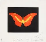 Damien Hirst, To Love, 2008, Etching and aquatint in colours, on wove paper, with full margins