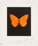Damien Hirst, Hope, from Butterfly Etchings, 2009, Etching and aquatint in colours, on wove paper, with full margins