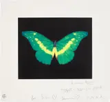 Damien Hirst, To Begin, 2008, Etching and aquatint in colours, on wove paper, with full margins