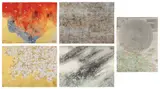 Toshimitsu Imai, Beauties of Nature, 1990, The complete set of five screenprints mixed media, on wove paper, the full sheets, all contained in the original red cardboard portfolio with gold printed artist's name