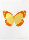 Damien Hirst, The Souls II - Oriental Gold/Prairie Copper/Blind Impression