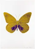 Damien Hirst, The Souls I (Oriental Gold/Imperial Purple)